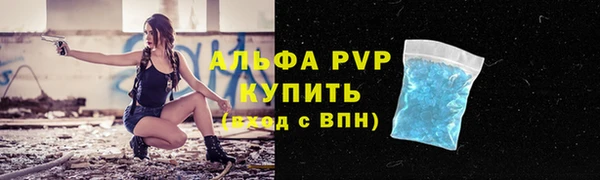 ПСИЛОЦИБИНОВЫЕ ГРИБЫ Лабытнанги