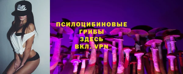 ПСИЛОЦИБИНОВЫЕ ГРИБЫ Лабытнанги