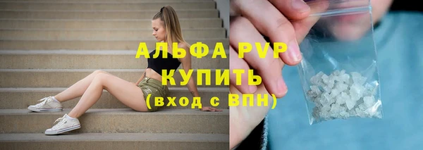 ПСИЛОЦИБИНОВЫЕ ГРИБЫ Лабытнанги