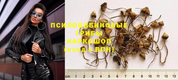 ПСИЛОЦИБИНОВЫЕ ГРИБЫ Лабытнанги