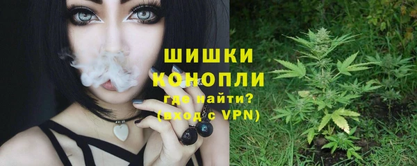 ПСИЛОЦИБИНОВЫЕ ГРИБЫ Лабытнанги