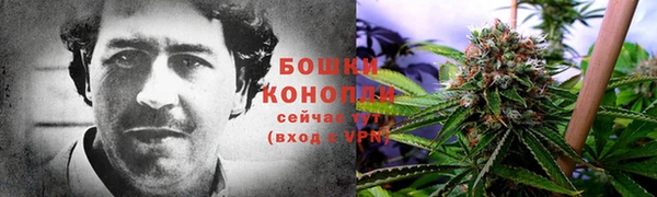 apvp Лагань
