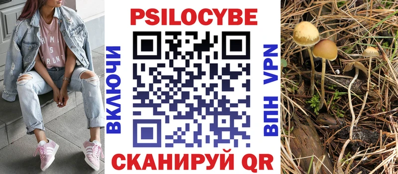 цена   Новомичуринск  Псилоцибиновые грибы мицелий 